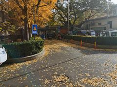 -山东傻大粗粮煎饼(牛街店)