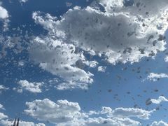 -北京石景山游乐园