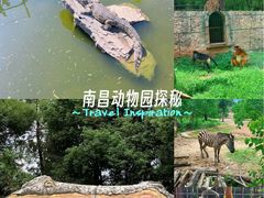 -南昌动物园