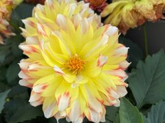 -上海植物园-4号门售票处