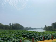 -思念果岭悦温泉