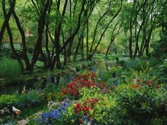 -上海共青森林公园