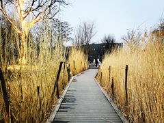 -春风习习