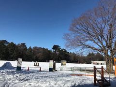 -三鹰之森吉卜力美术馆