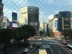 -涩谷区