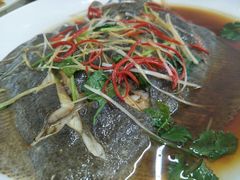 清蒸多宝鱼-烁佳海鲜大馅饺子
