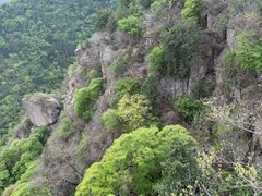 -北京鹫峰国家森林公园