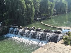 -观潮胜地公园