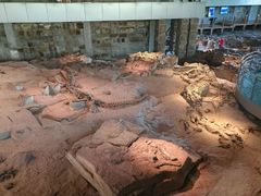 -自贡恐龙博物馆