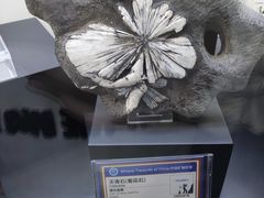 -中国地质大学逸夫博物馆