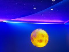 -胖子烧烤海鲜(亲贤北街店)