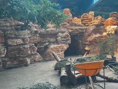 -石家庄市动物园