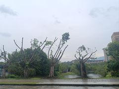 -福州大学(旗山校区)