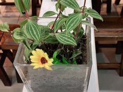 -壹块捌烧烤(灯市口店)