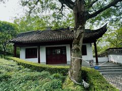 -上海佘山国家森林公园天马山园