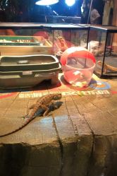 -酷嗒动物文化乐园(cutezoo西溪乐天城店)