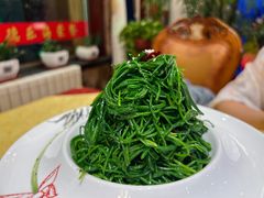 炝拌草原沙葱-德乐海蒙餐