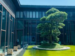 -上海崇明金茂凯悦酒店