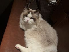 -埠口精酿夜景餐酒吧· BREWPORT BISTRO(长嘉汇重庆之眼店)