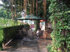 -柴犬高等学院·狗咖·柴犬售卖·宠物训练