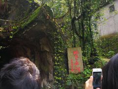 -兰溪地下长河