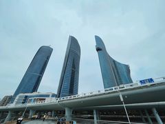 -演武大桥观景平台