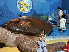 -福州罗源湾海洋世界旅游区