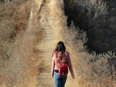 -蟠龙山长城景区