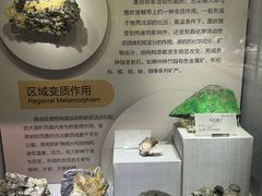 -湖南省地质博物馆
