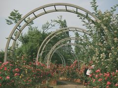 -杭州植物园