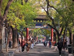 -北京国子监胡同
