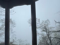 -岣嵝峰国家森林公园