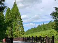 -黄海国家森林公园