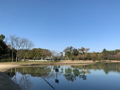 -上海佘山世茂艾美酒店