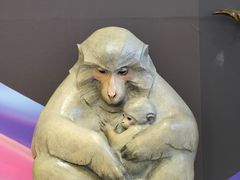 -红星美凯龙北京至尊MALL(东四环中路店)