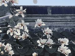 -艺圃