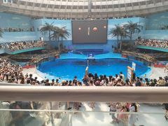 -海合安成都极地海洋公园