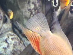 -常州海昌海洋探索馆