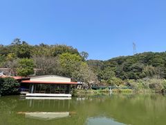 -桃园美食(水库路店)