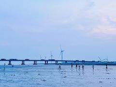 -南汇新城海滩