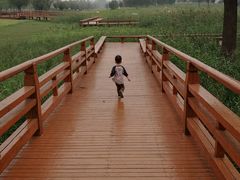 -汉长安城未央宫国家考古遗址公园