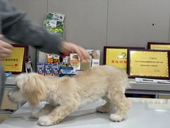 -瑞鹏宠物医院·爱宠堂·骨外专科(西荷分院)