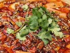 -陈麻婆豆腐(旗舰店)