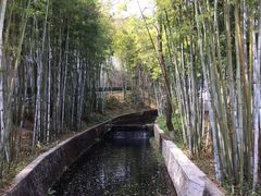 -广东温泉宾馆