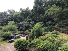 -杭州西湖风景名胜区-三生石