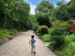 -杭州开元森泊度假乐园