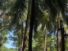 -海口骑楼小吃街