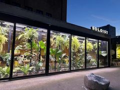-Soloist 独奏公司(798店)