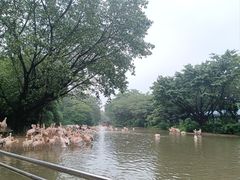 -广州长隆飞鸟乐园