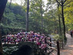 -云丘山景区